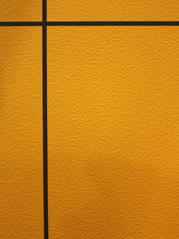 阿士丹彈性拉毛骨漿/質(zhì)保20年/抗開裂/進口原材料